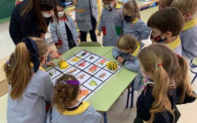 Nuestros alumnos de Infantil y Primaria se inician en Robótica