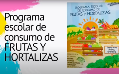 Programa Hábitos de Vida Saludable