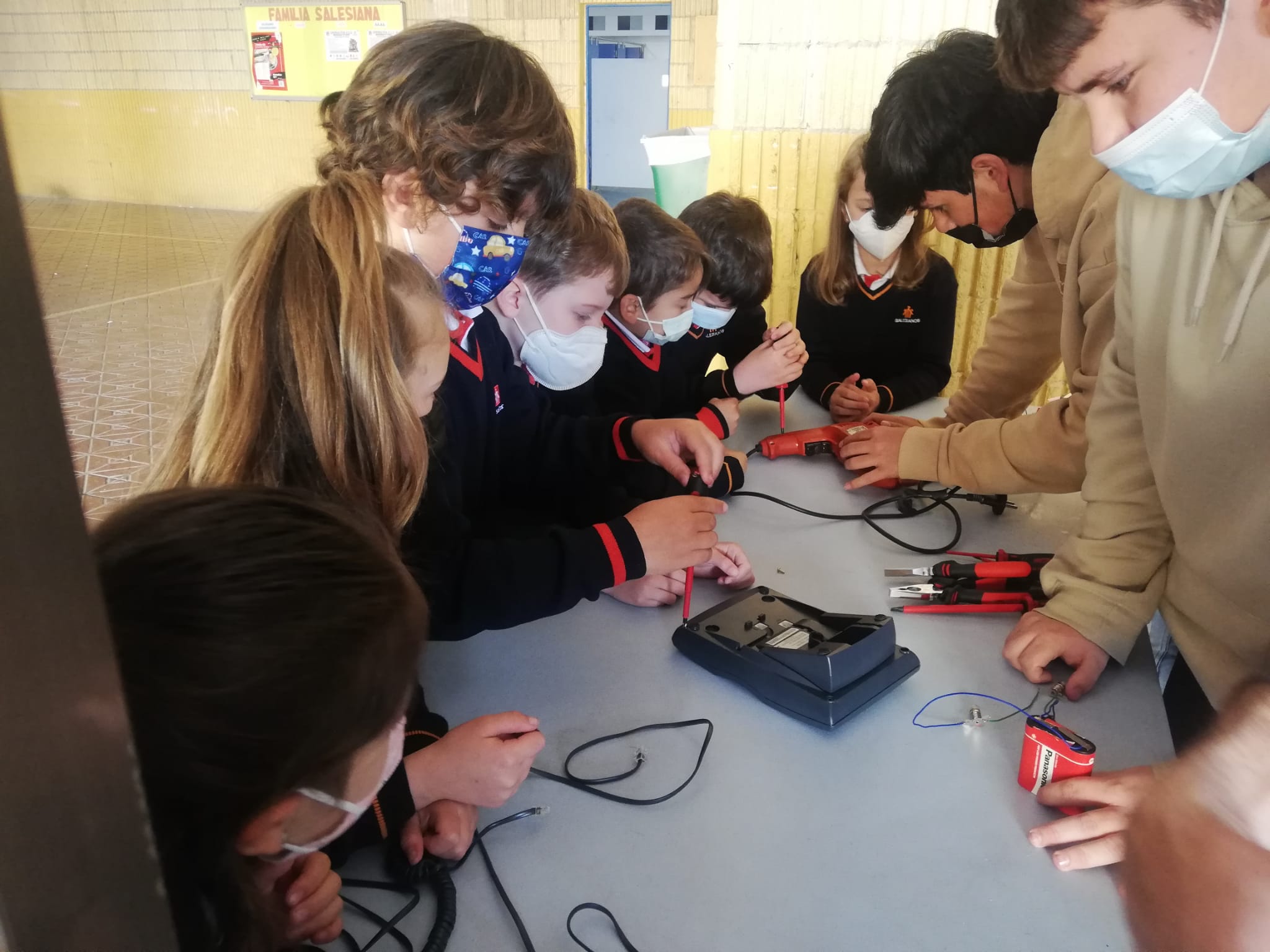 CIENCIAS EN 1º DE PRIMARIA