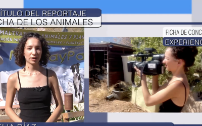 Experiencia Tv emite el reportaje de nuestra alumna Amelia de 2º RPAE