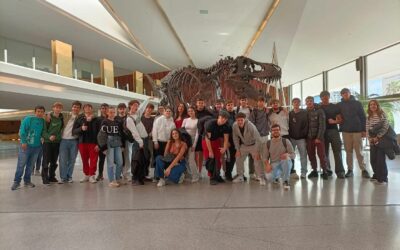 Estructura de la materia